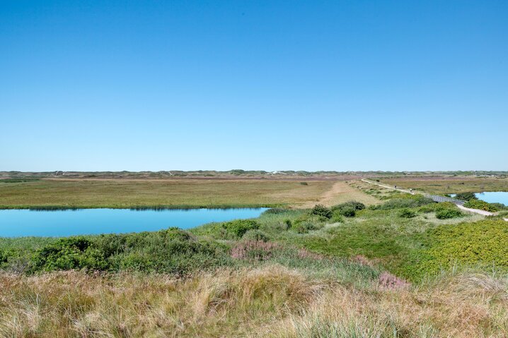 Ferienhaus A1064 in Redningsvejen 14, Nymindegab - Bild #28