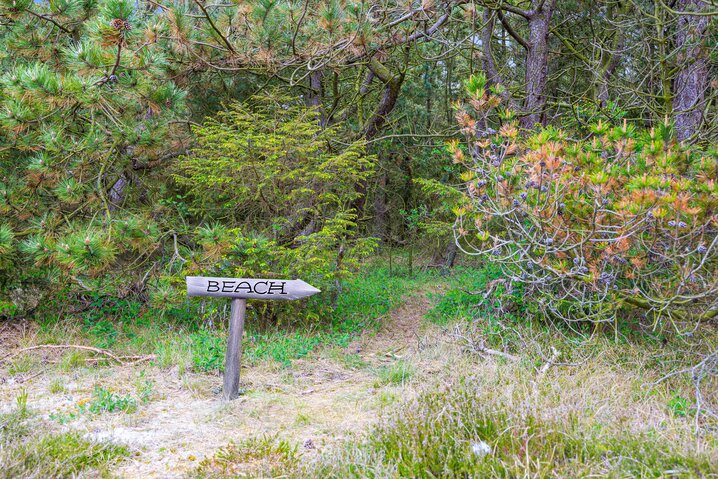 Sommerhus A1170 på Arvidvej 4, Bjerregård - Billede #23