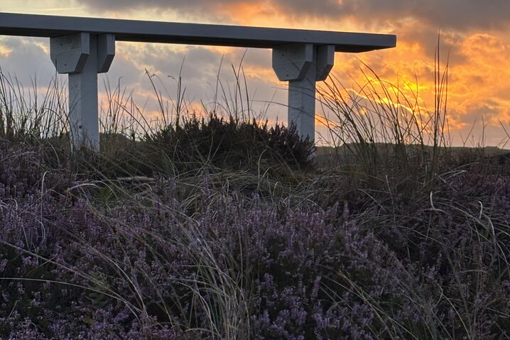 Ferienhaus A1277 in Arvidvej 220, Bjerregård - Bild #25