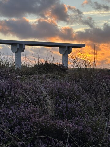 Ferienhaus A1277 in Arvidvej 220, Bjerregård - Bild #25