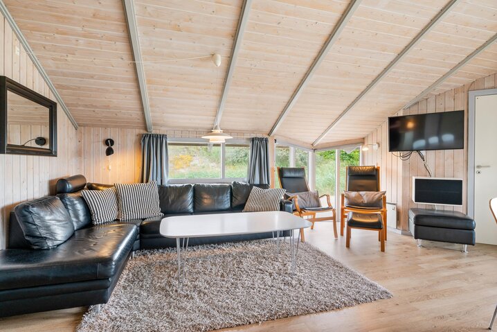 Ferienhaus A1285 in Arvidvej 98, Bjerregård - Bild #1