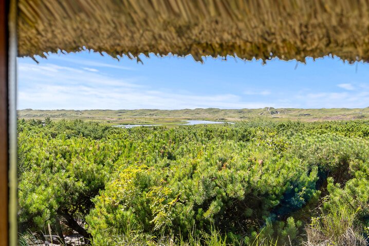 Sommerhus A1332 på Redningsvejen 39, Nymindegab - Billede #6
