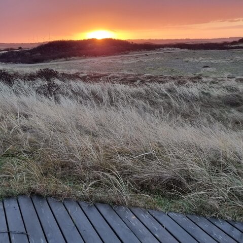 Sommerhus A1348 på Beautyvej 6, Bjerregård - Billede #42