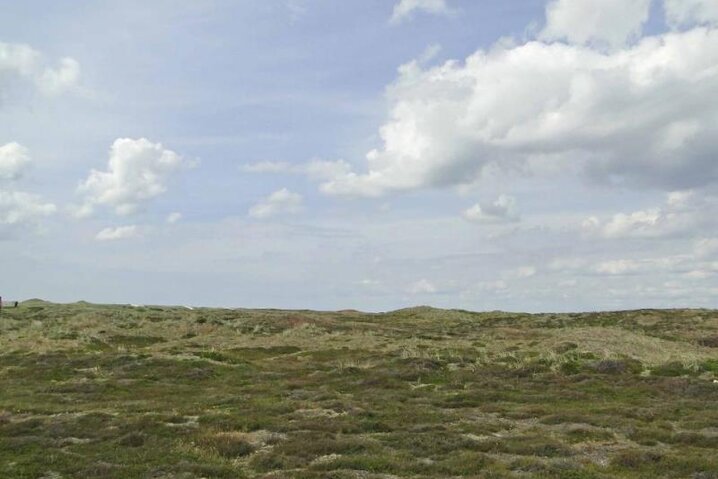 Ferienhaus A1496 in Arvidvej 58, Bjerregård - Bild #34