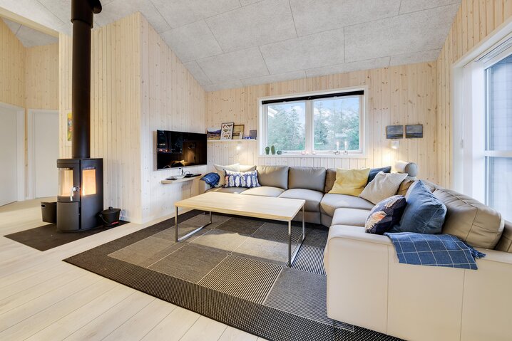 Ferienhaus A1688 in Redningsvejen 29A, Nymindegab - Bild #1