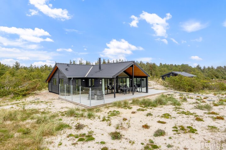 Ferienhaus AA1185 in Arvidvej 24, Bjerregård - Bild #0