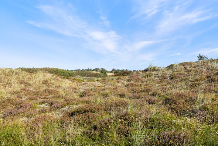 Ferienhaus B2401 in Bjerregårdsvej 34, Bjerregård - Bild #23