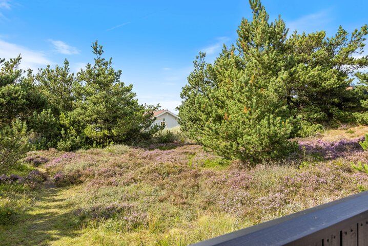 Ferienhaus B2444 in Bjerregårdsvej 167, Bjerregård - Bild #29