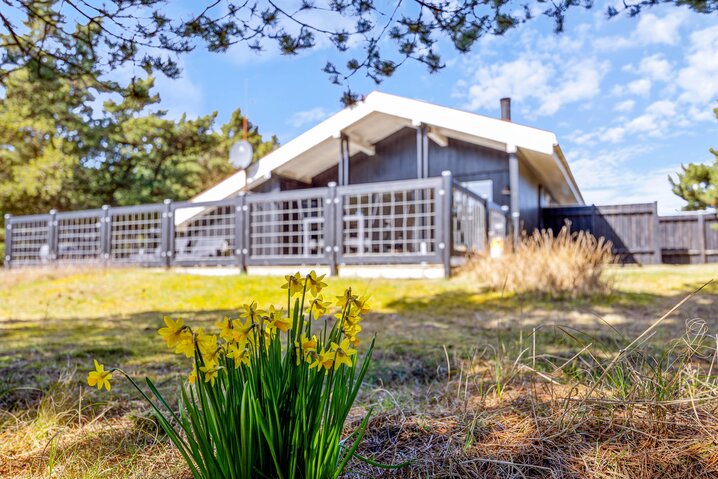 Ferienhaus B2495 in Rauhesvej 11, Bjerregård - Bild #34