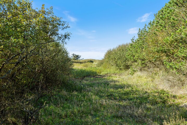 Sommerhus B2545 på Blåbærheden 22, Bjerregård - Billede #26