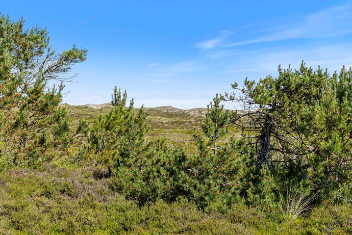 Sommerhus B2585 på Toppebjerg 9, Bjerregård - Billede #30
