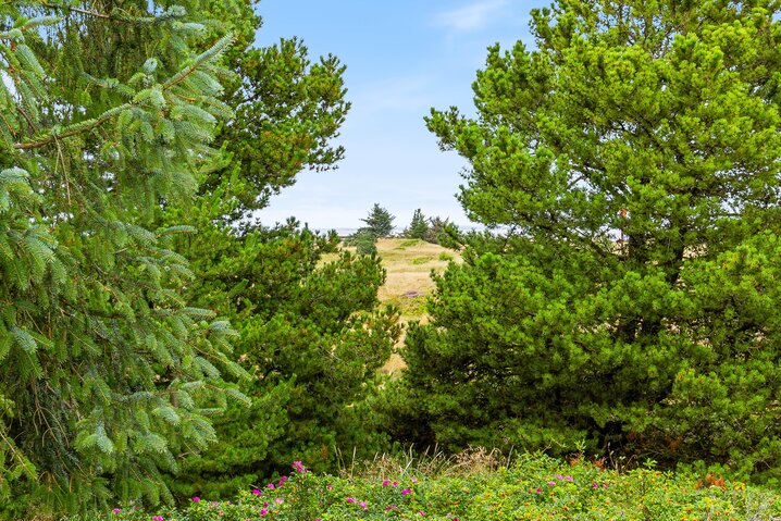 Ferienhaus B2653 in Jeppesvej 3, Bjerregård - Bild #37
