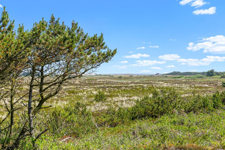 Sommerhus B2686 på Bilbergsvej 24, Bjerregård - Billede #36