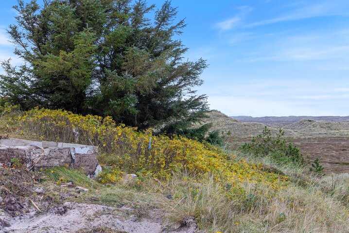 Ferienhaus B2697 in Bjerregårdsvej 330, Bjerregård - Bild #1