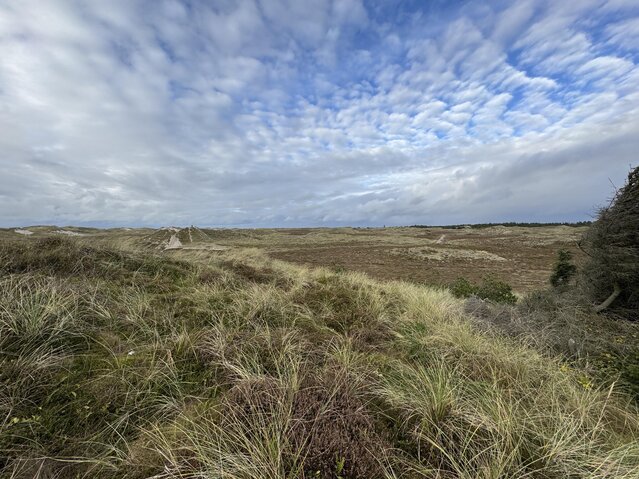 Ferienhaus B2697 in Bjerregårdsvej 330, Bjerregård - Bild #9