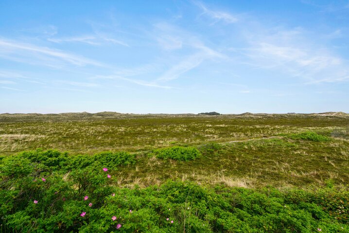 Ferienhaus B2814 in Riskrogen 16, Bjerregård - Bild #24