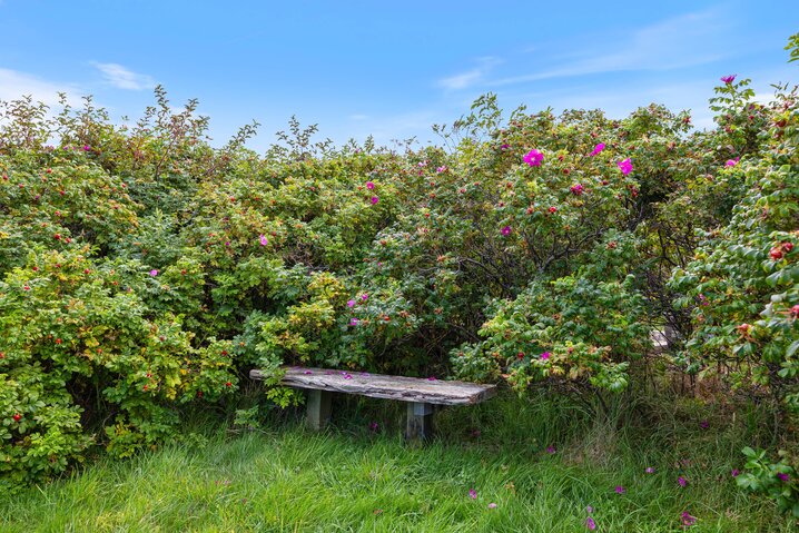 Sommerhus B2932 på Kirksvej 39, Bjerregård - Billede #35