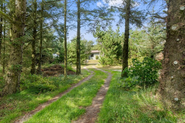 Sommerhus BB1117 på Sønder Klitvej 206, Bjerregård - Billede #26