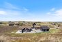 Sommerhus C3168 på Skodbjergevej 5, Skodbjerge - Billede #1