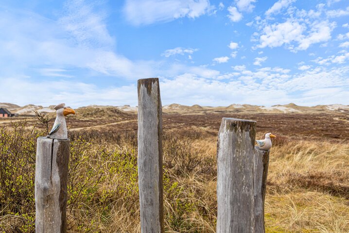 Ferienhaus C3290 in Sommervej 80, Skodbjerge - Bild #44