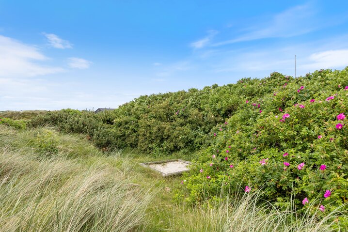 Ferienhaus C3342 in Sommervej 44, Skodbjerge - Bild #28