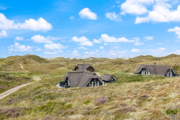 Ferienhaus C3378 in Skodbovej 8, Skodbjerge - Bild #33
