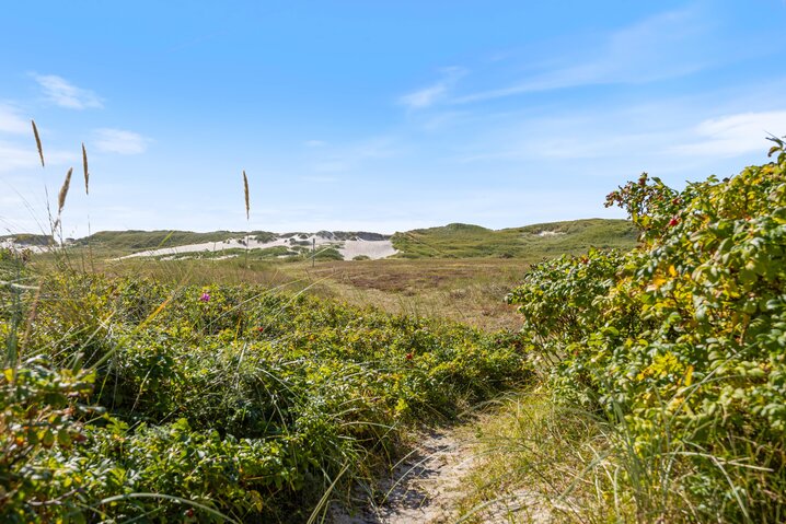 Ferienhaus C3554 in Sandvej 10, Skodbjerge - Bild #27