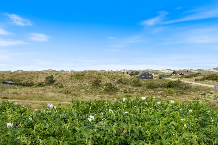Ferienhaus C3595 in Sommervej 22, Skodbjerge - Bild #38