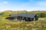 Ferienhaus D3105 in Riskrogvej 42, Haurvig - Bild #1