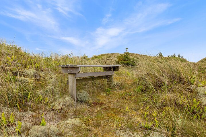 Ferienhaus D3597 in Vinterlejevej 29, Haurvig - Bild #30