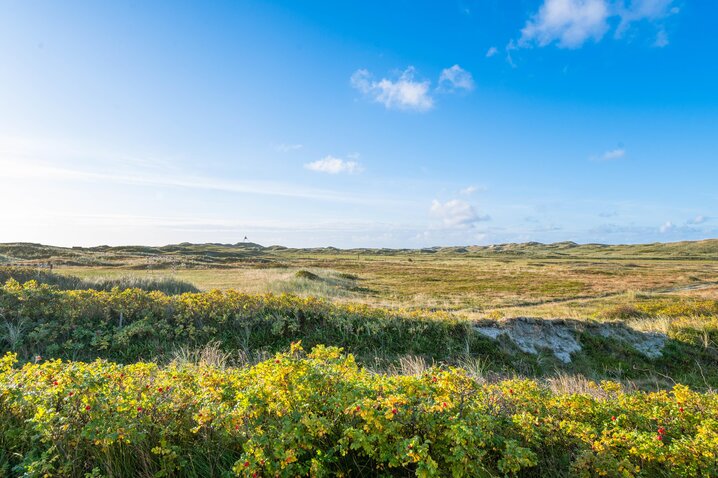 Sommerhus D3786 på Vesterledvej 88, Haurvig - Billede #29