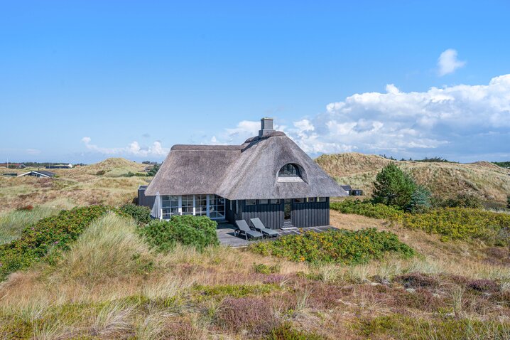 Ferienhaus D3879 in Tornbjerrevej 56, Haurvig - Bild #25