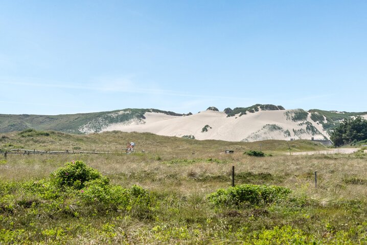 Ferienhaus D3930 in Vesterledvej 56, Haurvig - Bild #38
