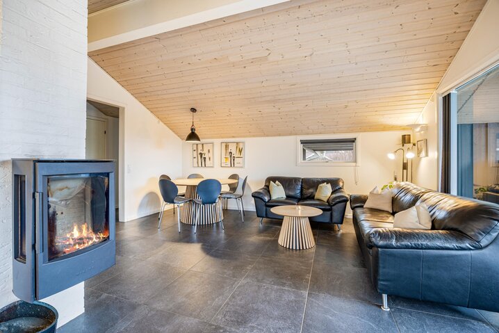 Holiday home E4203 at Tingodden 355, Årgab - Picture #5