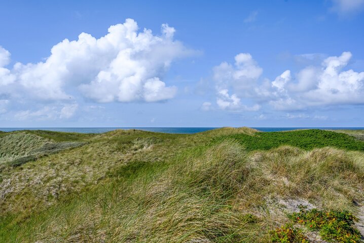 Ferienhaus E4481 in Tingodden 277, Årgab - Bild #42