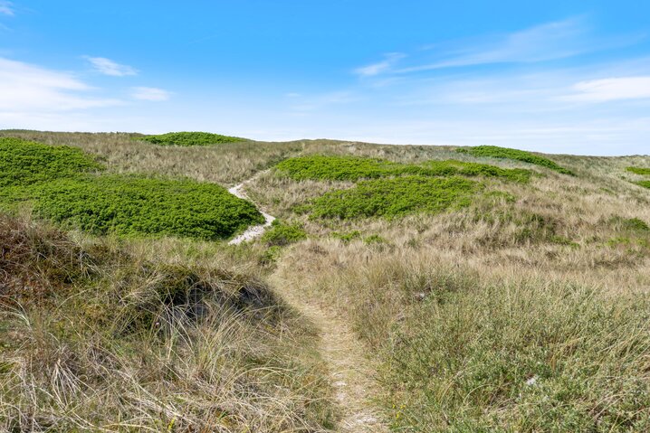 Sommerhus E4976 på Tingodden 391, Årgab - Billede #41