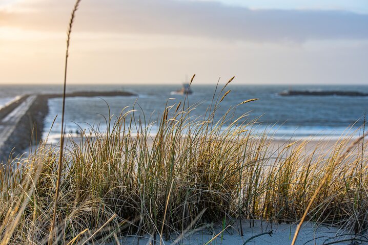 Ferienhaus F4923 in Stormgade 24, Hvide Sande - Bild #26