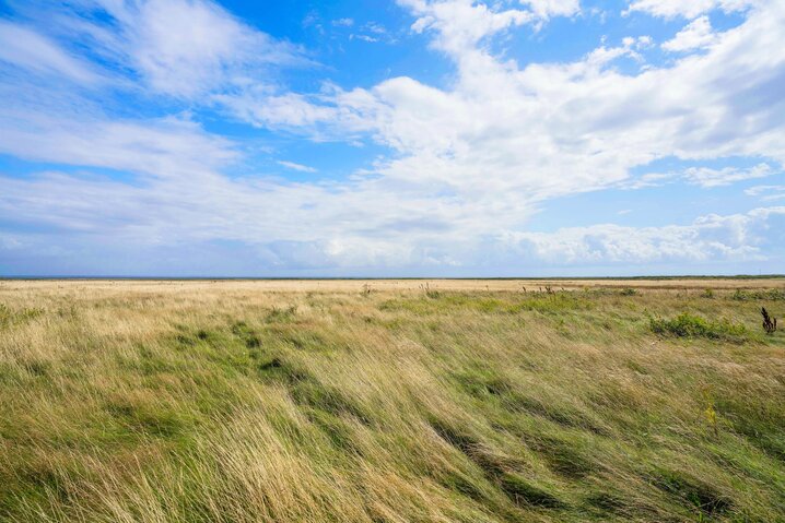 Ferienhaus G5002 in Anker Eskildsens Vej 38, Nr. Lyngvig - Bild #36