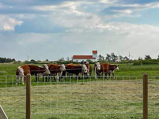 Sommerhus G5674 på Anker Eskildsens Vej 32, Nr. Lyngvig - Billede #36