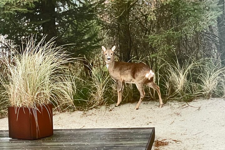 Ferienhaus H5499 in Opstrupsvej 42, Klegod - Bild #39