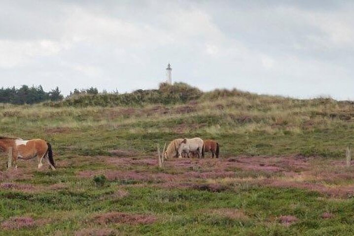 Ferienhaus H5571 in Nordsø Ferievej 17, Klegod - Bild #30