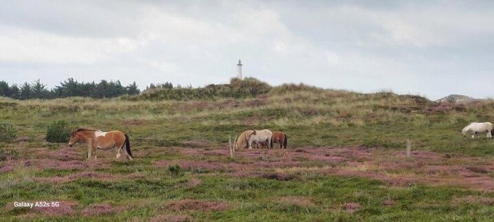 Ferienhaus H5571 in Nordsø Ferievej 17, Klegod - Bild #30
