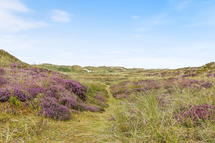 Ferienhaus J6006 in Troldedalen 27, Houvig - Bild #35