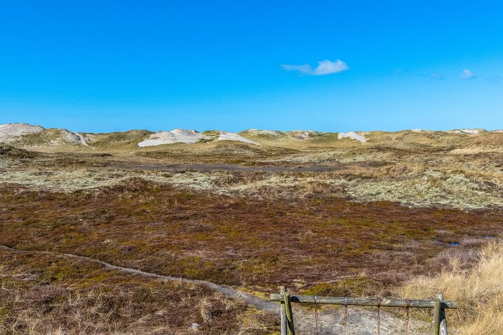 Ferienhaus J6315 in Klitdalen 45, Houvig - Bild #44
