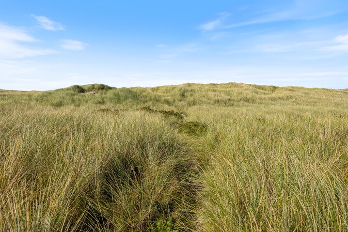 Ferienhaus J6489 in Krogen 39, Houvig - Bild #28