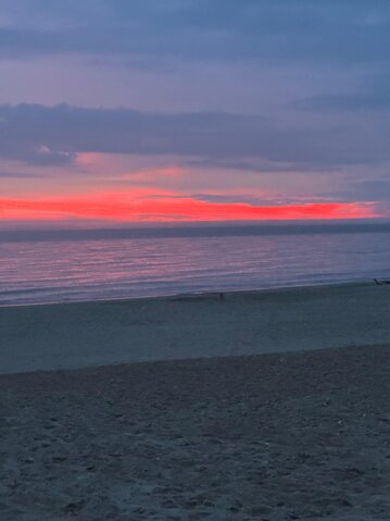Sommerhus J6524 på Skovdalen 14, Houvig - Billede #41