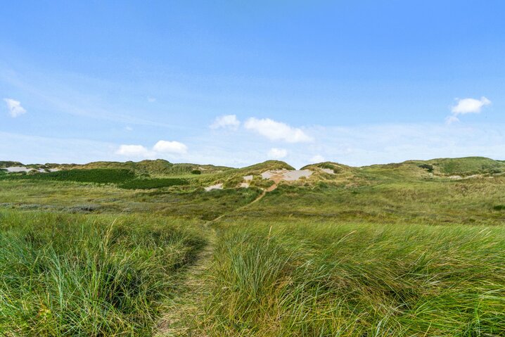 Ferienhaus J6753 in Klægdalen 17, Houvig - Bild #50