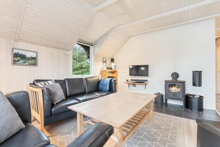 Ferienhaus JW1327 in Mågedalen 72, Houvig - Bild #4