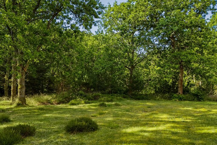 Sommerhus K6228 på Birkealle 15, Lodbjerg Hede - Billede #31