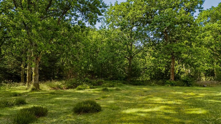 Sommerhus K6228 på Birkealle 15, Lodbjerg Hede - Billede #31